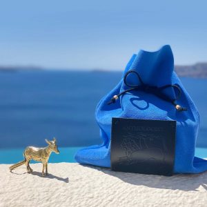 Kanava Donkey Key Ring